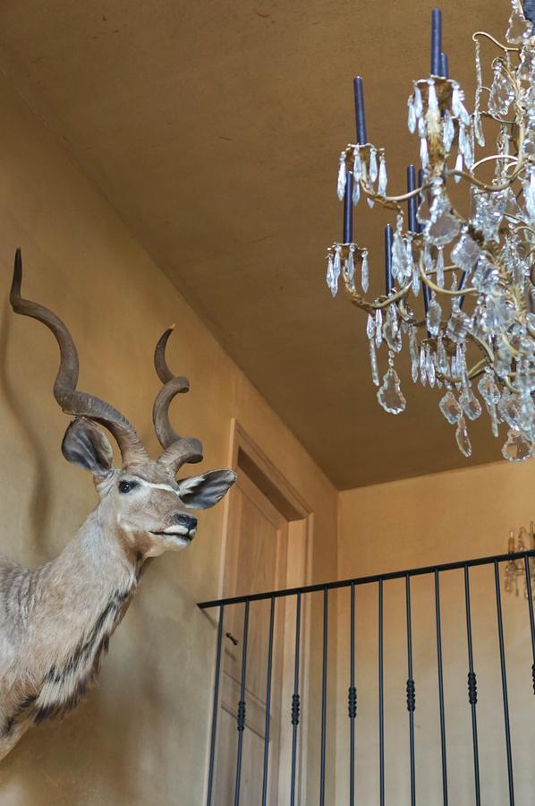 Boutique Hotel De Brakelhoen Luaran gambar